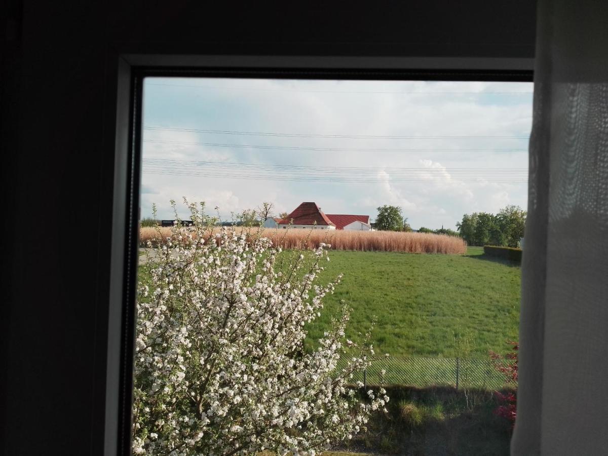 Pension Kappel Ried im Innkreis Esterno foto
